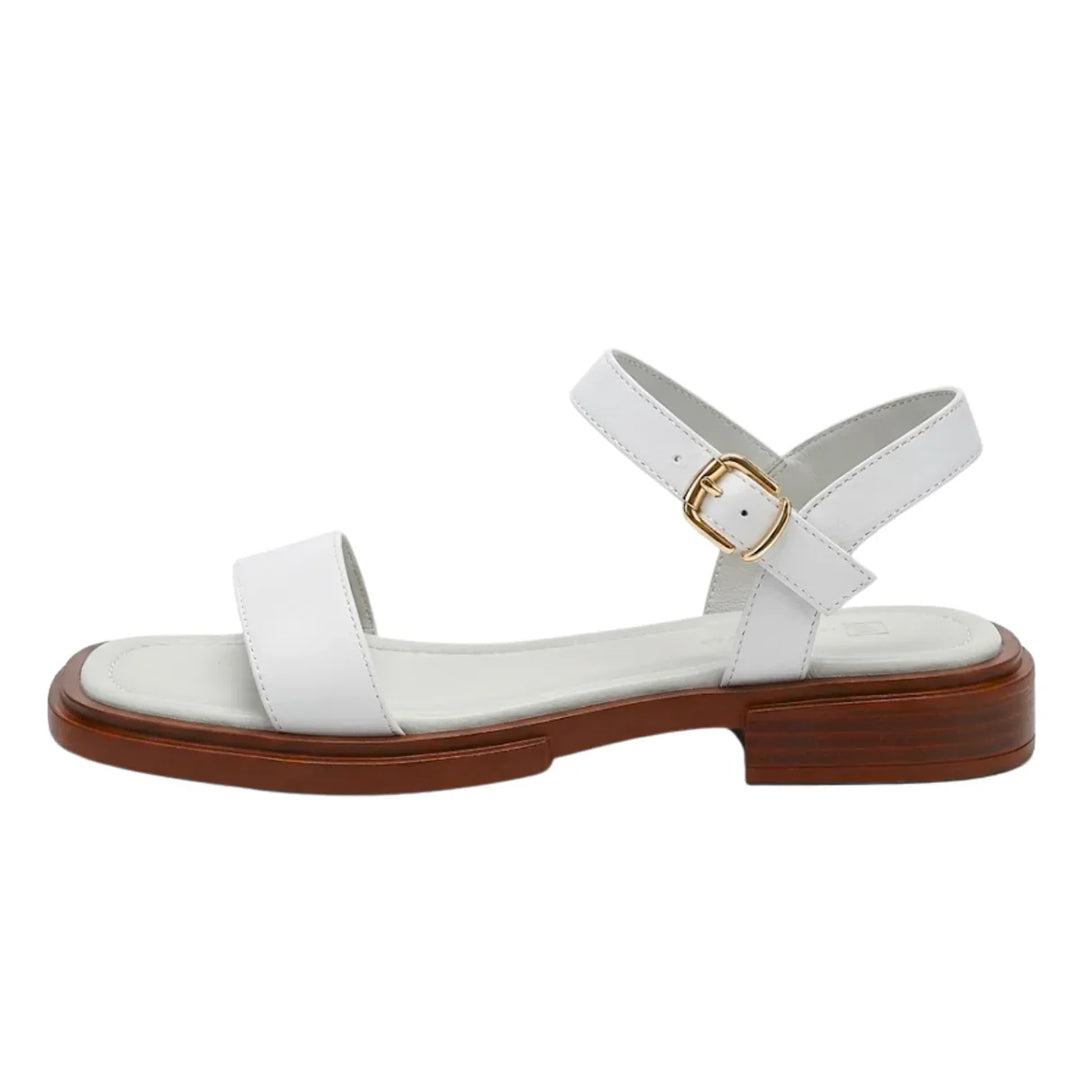 Sienna | Women Sandals Ankle Strap Flat